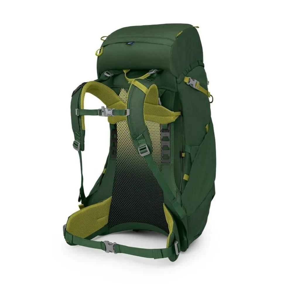 Ace 38 Junior