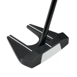 Ai-Dual S2S #7