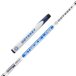 Ai-ONE Wing Back DB Putter