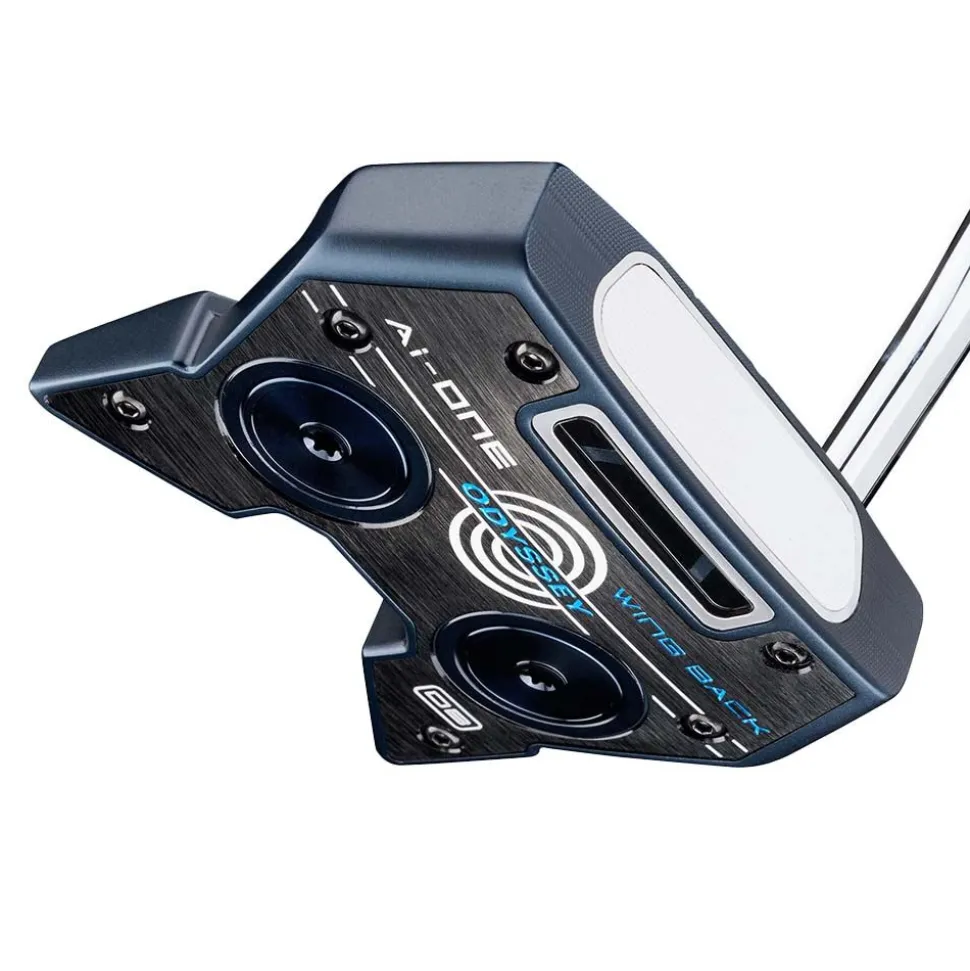 Ai-ONE Wing Back DB Putter