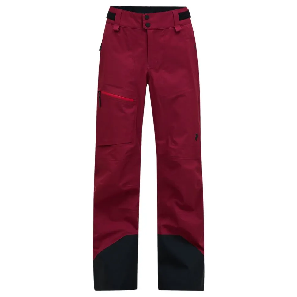 Alpine Gore-Tex 3L Pant dam