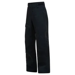 Alpine Gore-Tex 3L Pant herr