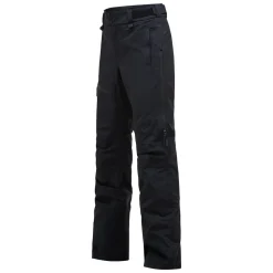 Alpine GORE-TEX 2L Pants Dam