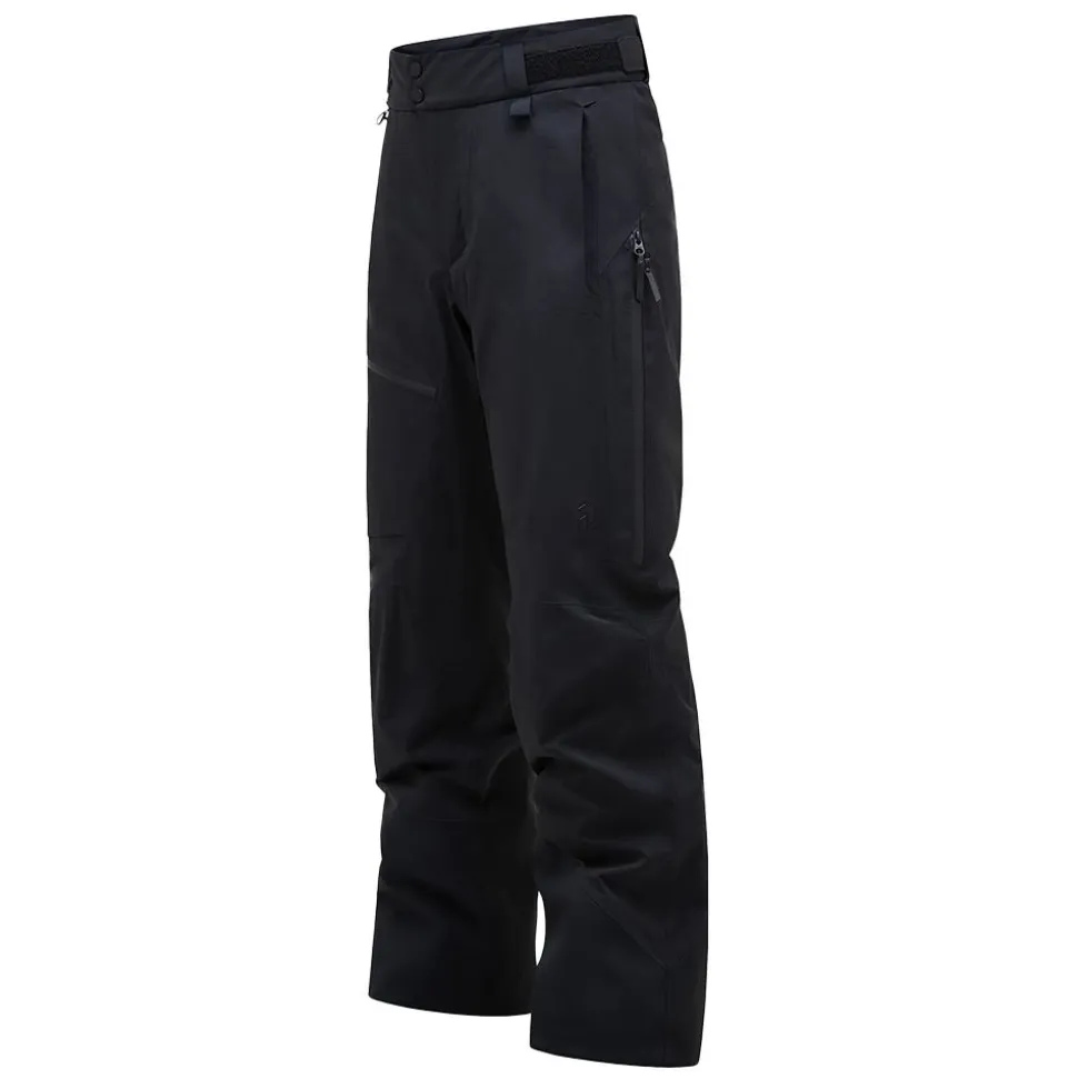 Alpine GORE-TEX 2L Pants Herr