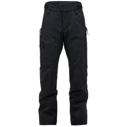 Alpine GORE-TEX 2L Pants Herr