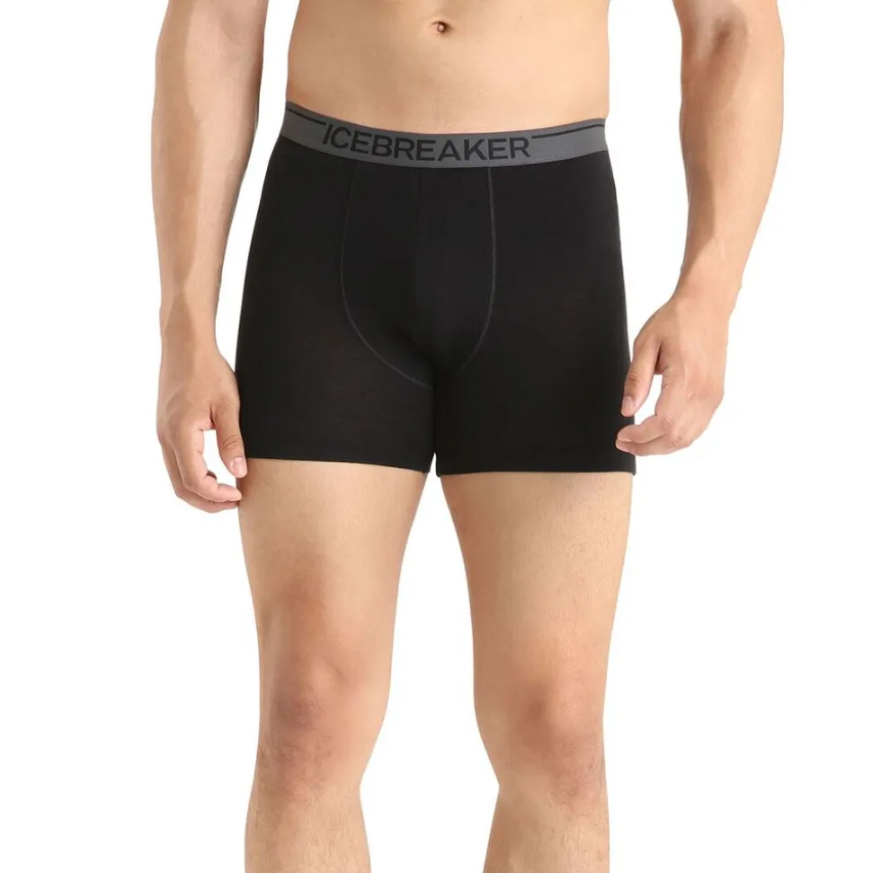 Anatomica Boxer Herr