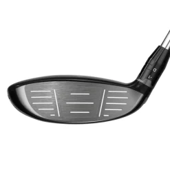 Big Bertha FW 2023 45