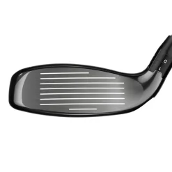 Big Bertha Hybrid 65