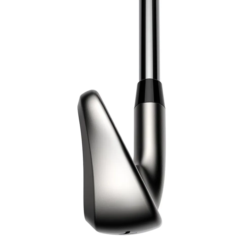 DS-Adapt Iron Set