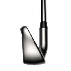 DS-Adapt Max Iron