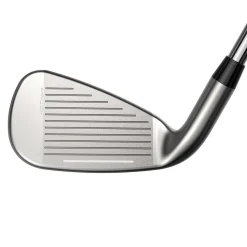 DS-Adapt Max Iron