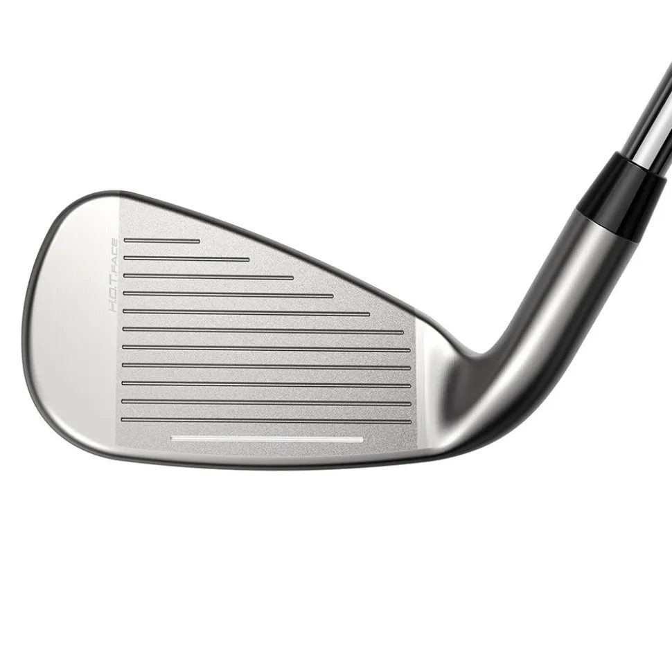 DS-Adapt Max Iron