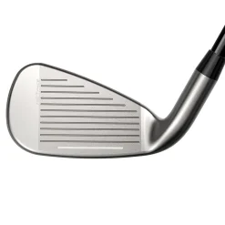 DS-Adapt Max Iron Dam