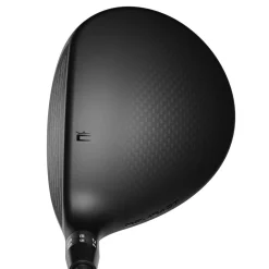 DS-Adapt X Fairway