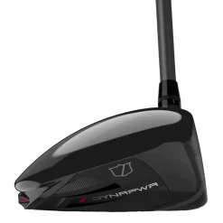 Dynapwr Max Driver Lite