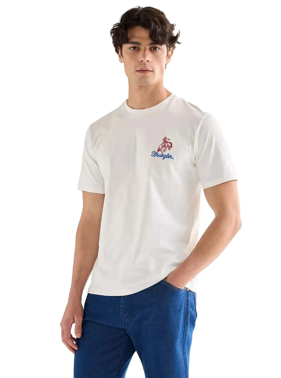 EMBROIDERY TEE HERR