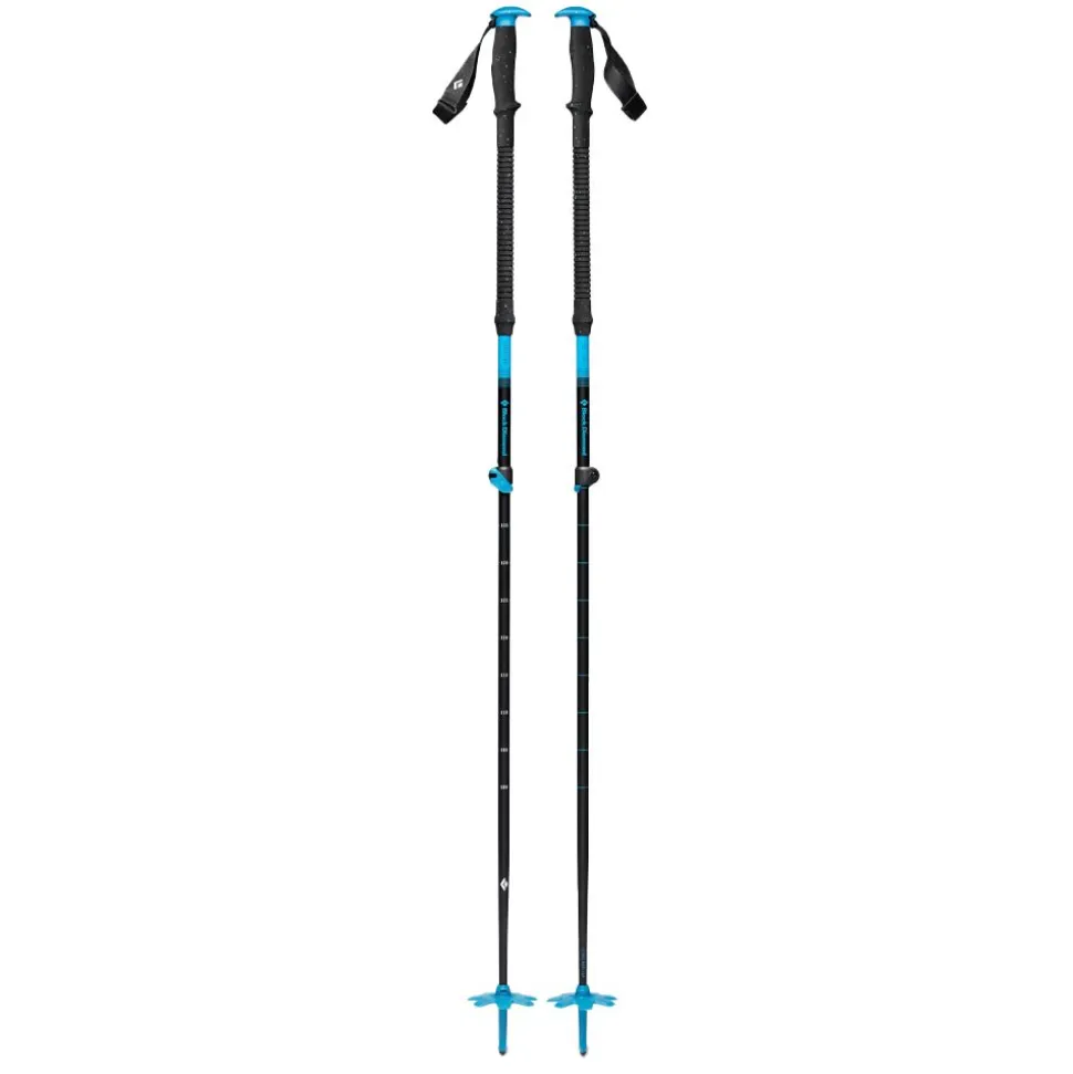 Expedition Ski Poles