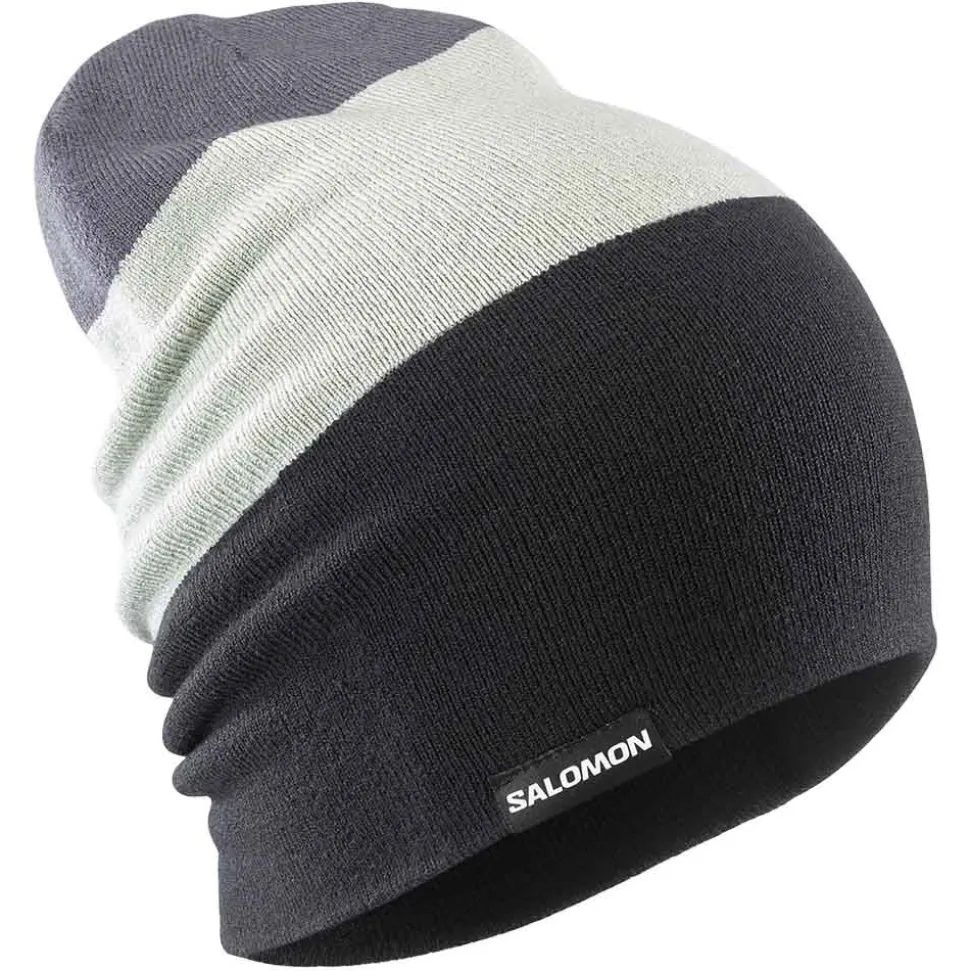 Flatspin Reversible