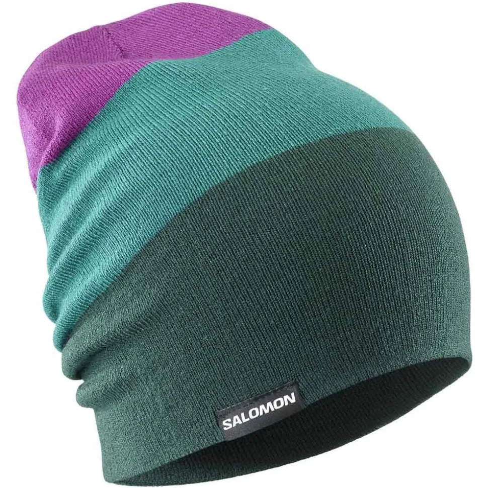 Flatspin Reversible