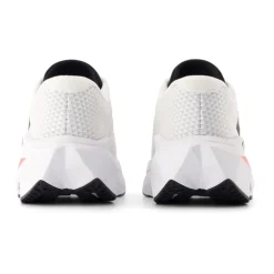 FuelCell SuperComp Trainer v3 Dam