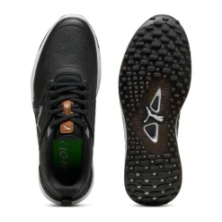 Ignite Elevate 2