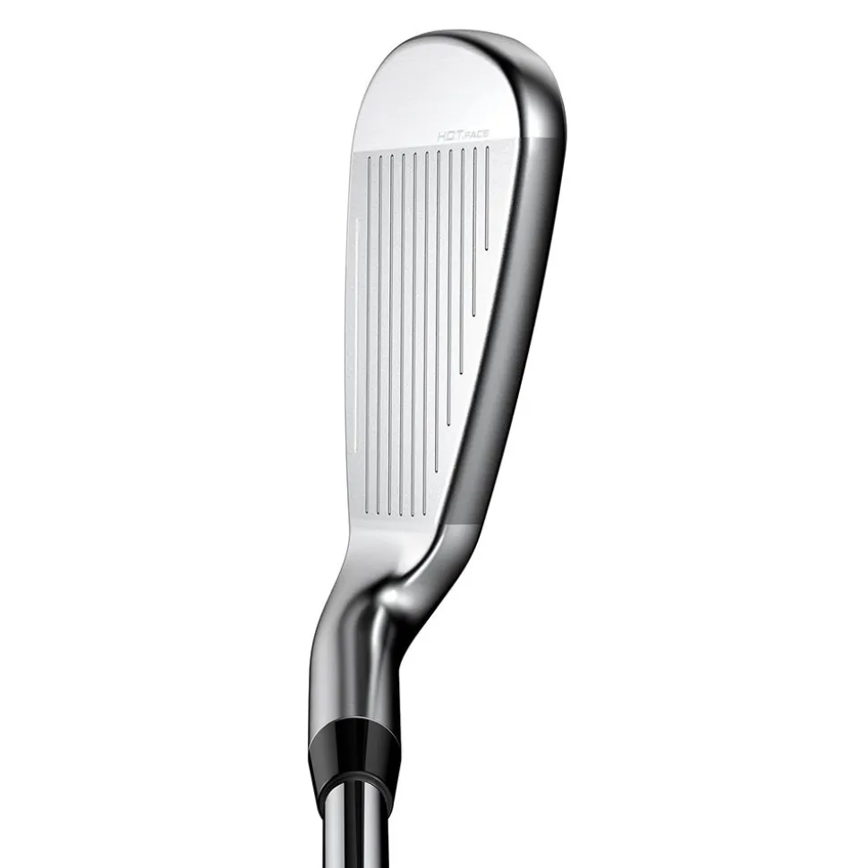 King Max Iron Set