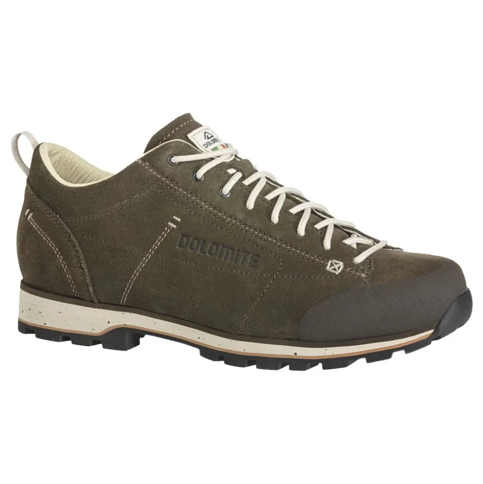 54 Low Evo Shoes