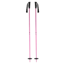 Meta Pole