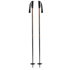Meta Pole