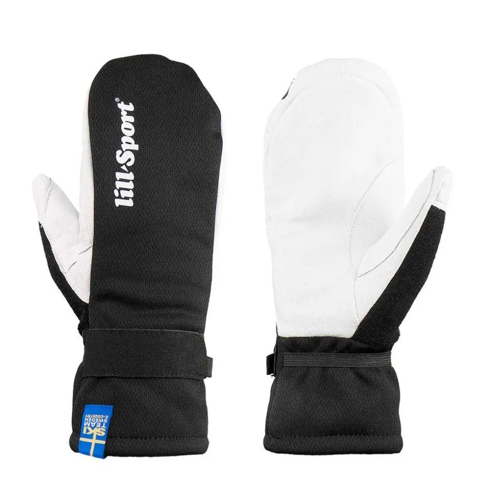 Mitt 1