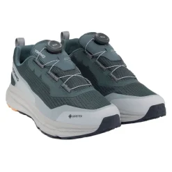 Motion Low GTX BOA Herr
