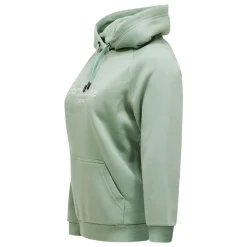 Original Hood Dam