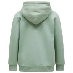 Original Small Logo Hood Dam