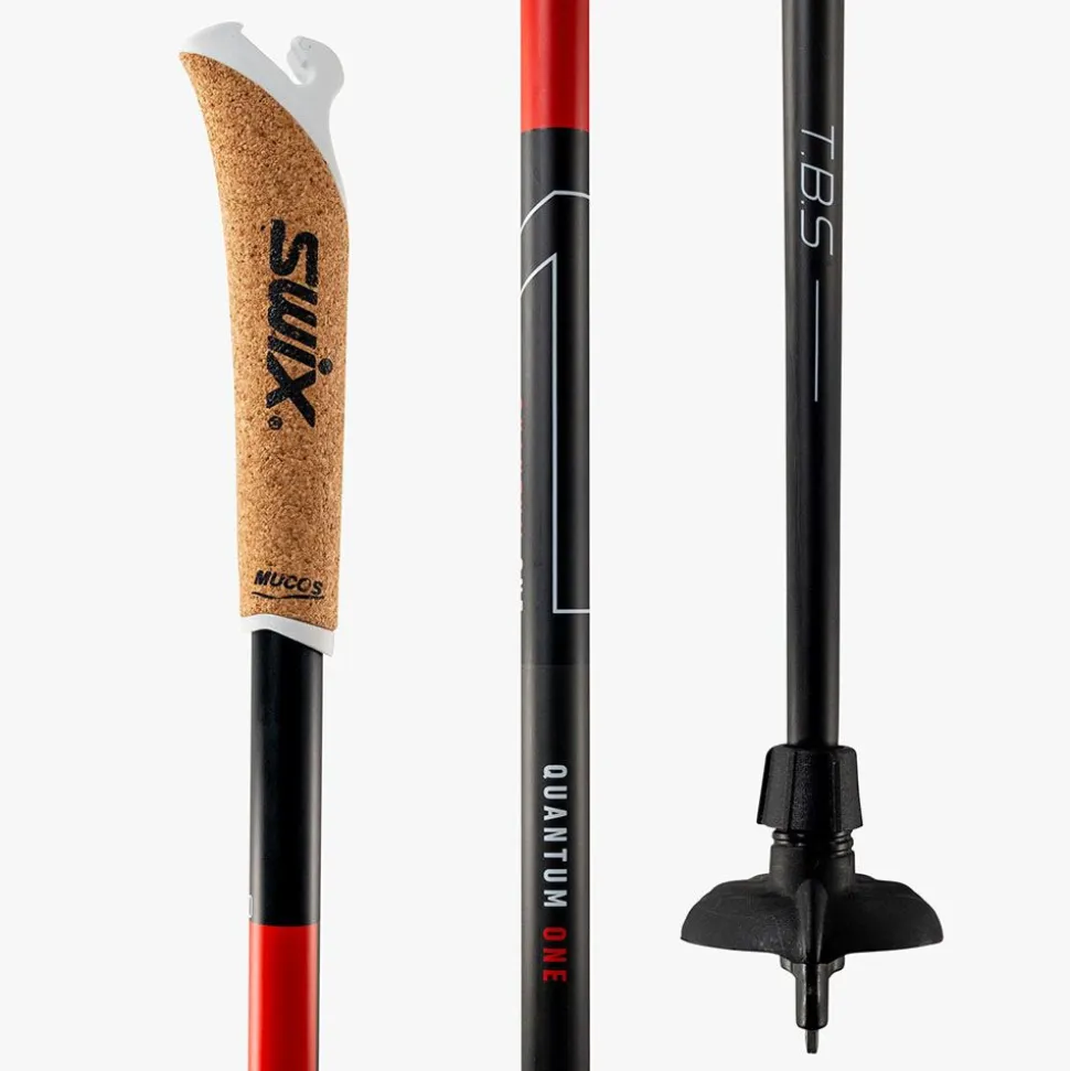 Quantum Q1 pole