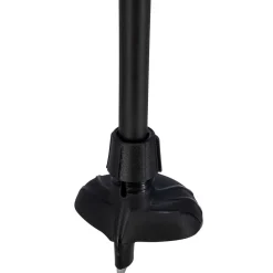 Quantum Q1 pole