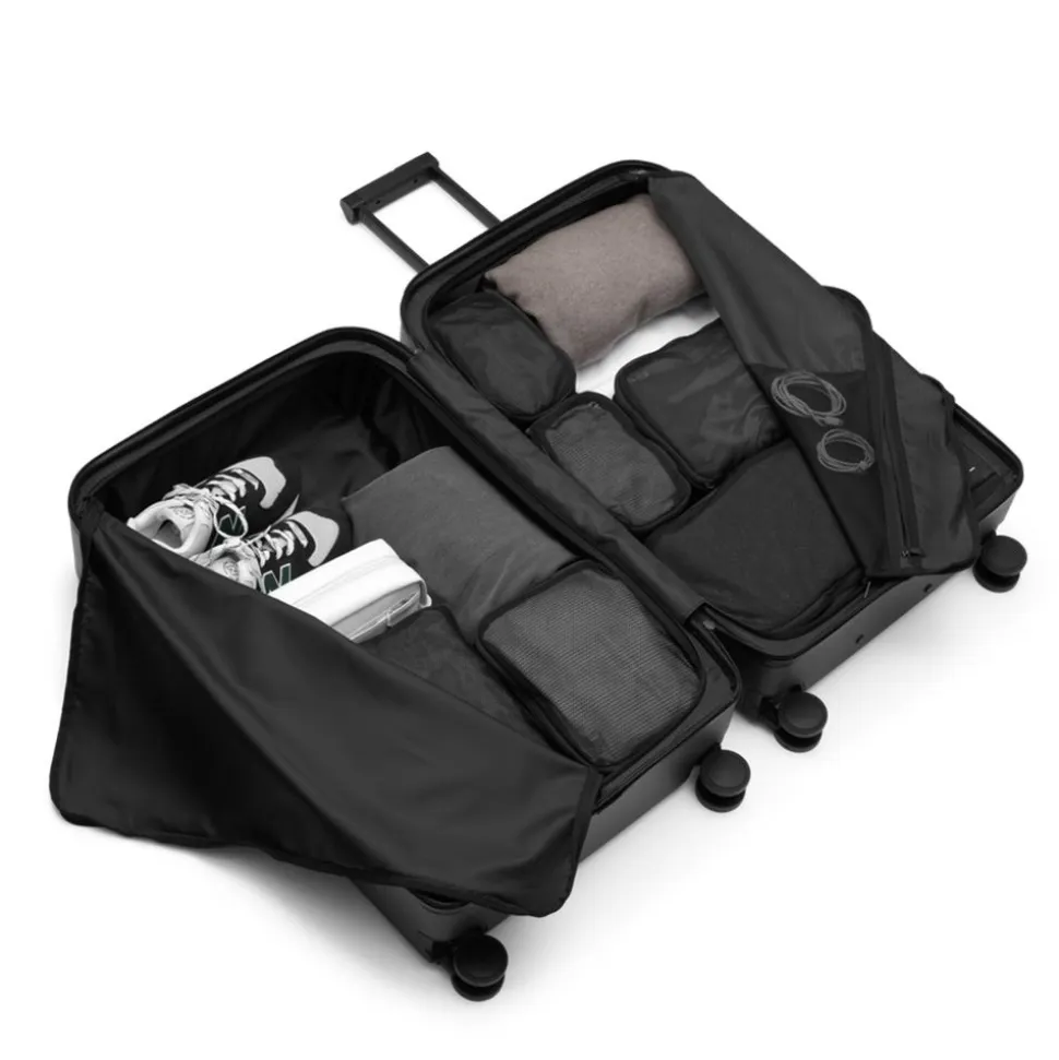 Ramverk Check-In Luggage