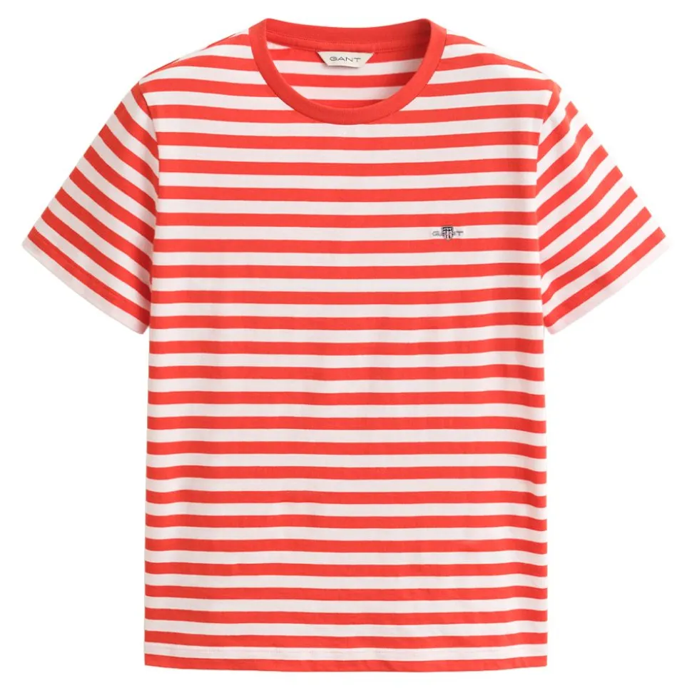 REG STRIPED SHIELD SS T-SHIRT DAM