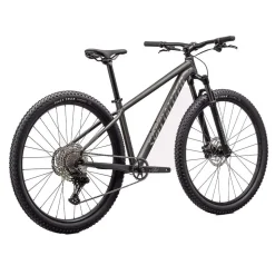 Rockhopper Expert 29