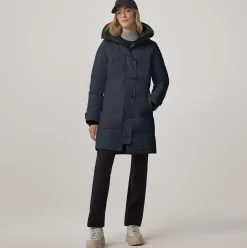 Shelburne Parka Dam