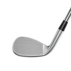 Snakebite-X Wedge Silver