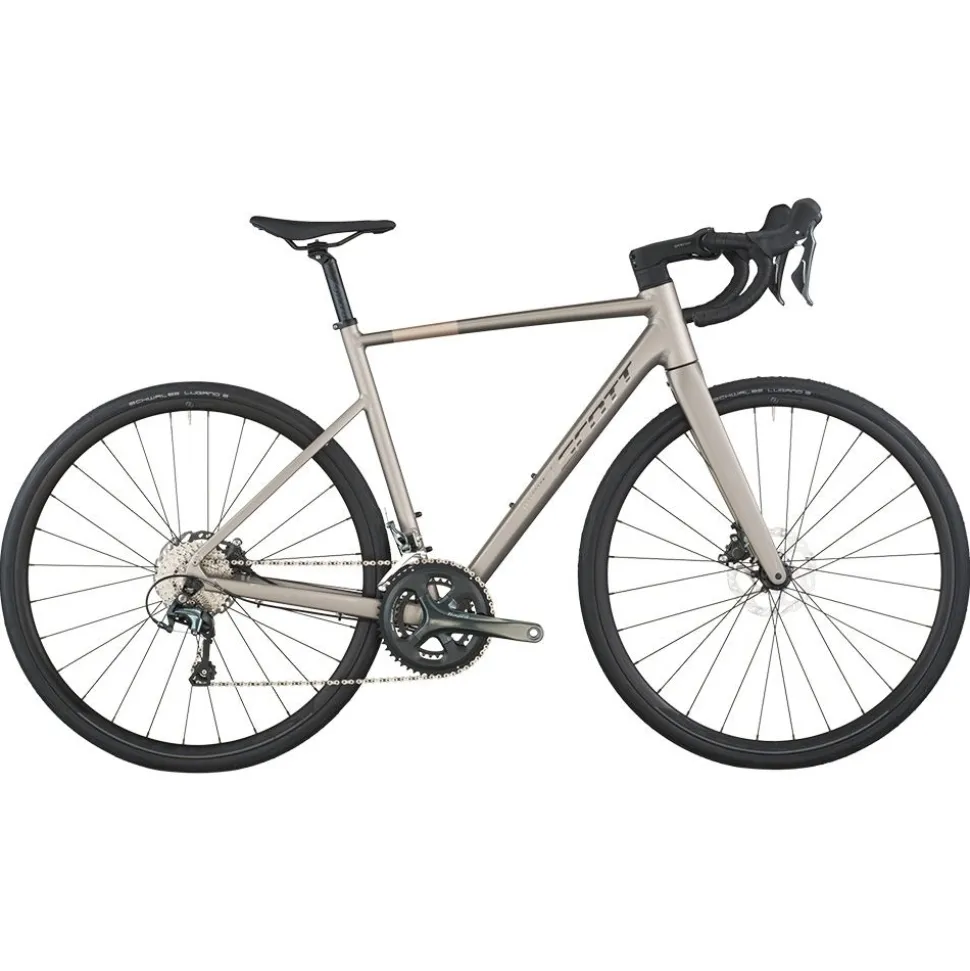 Speedster 20
