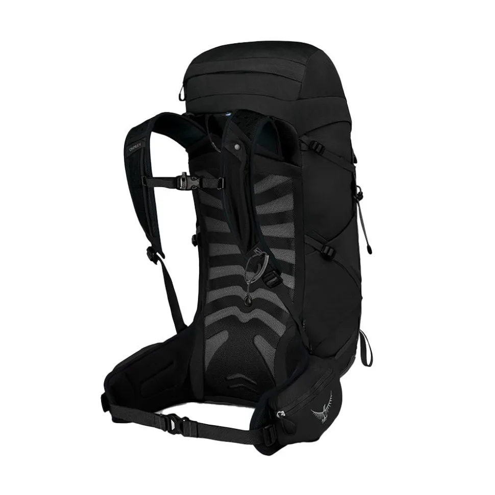 Talon 33