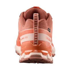 XA PRO 3D V9 GORE-TEX DAM