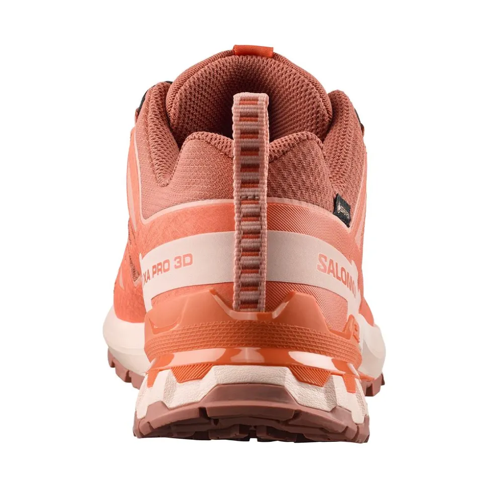 XA PRO 3D V9 GORE-TEX DAM