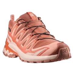 XA PRO 3D V9 GORE-TEX DAM