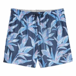 x PTC Range Short Print Herr