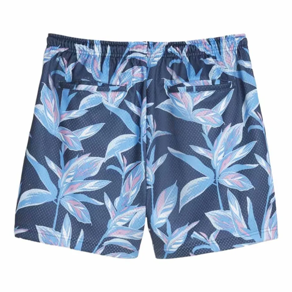 x PTC Range Short Print Herr